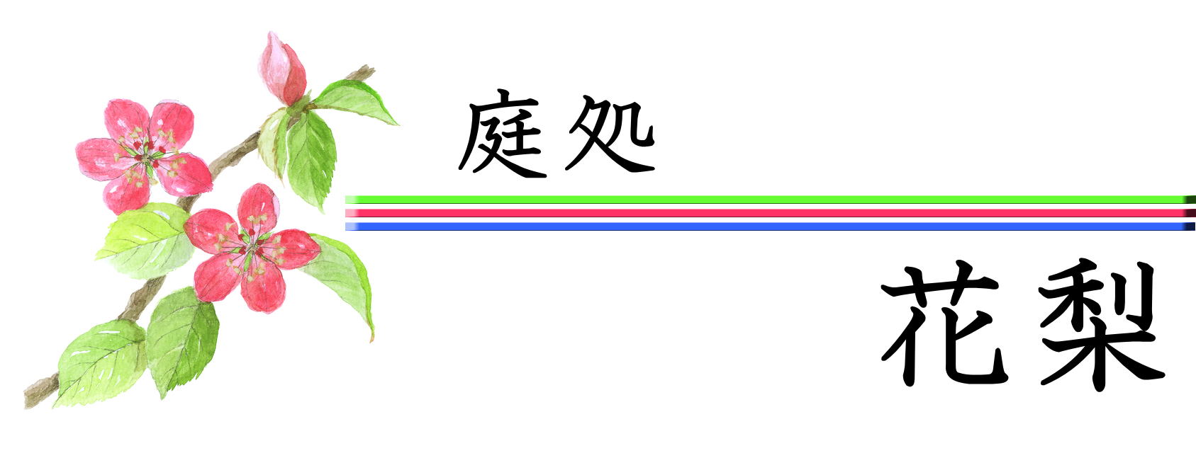 株式会社 庭処花梨